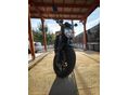YAMAHA FZ6-N 2009/6 - 3