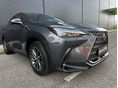 LEXUS NX 2022/6 - 1