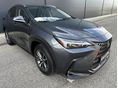 LEXUS NX 2022/6 - 2