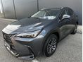 LEXUS NX 2022/6 - 4