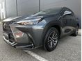 LEXUS NX 2022/6 - 5