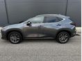 LEXUS NX 2022/6 - 6