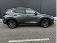 LEXUS NX 2022/6 - 7
