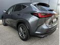 LEXUS NX 2022/6 - 8
