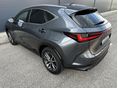LEXUS NX 2022/6 - 9