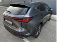 LEXUS NX 2022/6 - 10