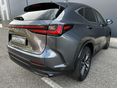 LEXUS NX 2022/6 - 11