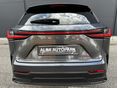 LEXUS NX 2022/6 - 12