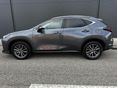 LEXUS NX 2022/6 - 23