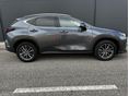 LEXUS NX 2022/6 - 27