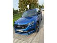 SKODA KODIAQ 2019/1 - 1