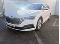 SKODA OCTAVIA 2021/9 - 2