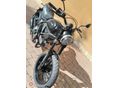 DUCATI SCRAMBLER ICON 2015/3 - 7