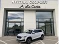 SKODA KODIAQ 2023/6 - 3