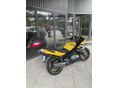 SUZUKI GS 500 F 2005/8 - 5