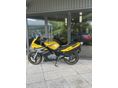 SUZUKI GS 500 F 2005/8 - 8