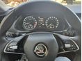 SKODA OCTAVIA 2023/8 - 16