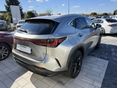 LEXUS NX 2023/12 - 3