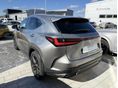 LEXUS NX 2023/12 - 4