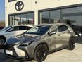 LEXUS NX 2023/12 - 11