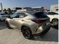 LEXUS NX 2023/12 - 12
