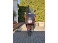YAMAHA MAJESTY 2001 - 2