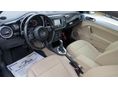 VOLKSWAGEN BEETLE 2013/11 - 1