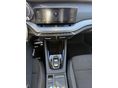 SKODA OCTAVIA 2024/10 - 18