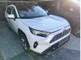 TOYOTA RAV 4 2023/9 - 2