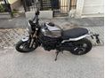 BENELLI LEONCINO 800 2022 - 2