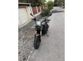 BENELLI LEONCINO 800 2022 - 4