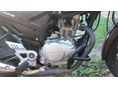 HONDA CBF 125 2009 - 5