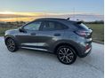 FORD PUMA 2019 - 9