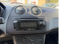 SEAT IBIZA 2009/9 - 18