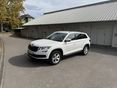 SKODA KODIAQ 2020/12 - 1