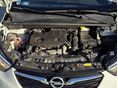 OPEL CROSSLAND X 2019/9 - 12