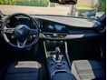 ALFA ROMEO GIULIA 2022/5 - 5
