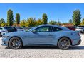 FORD MUSTANG 2024/8 - 9