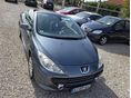 PEUGEOT 307 2006/3 - 5