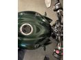 TRIUMPH STREET TRIPLE 2020/10 - 3