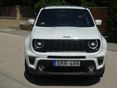 JEEP RENEGADE 2021/5 - 12
