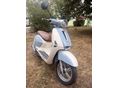 LINEA VINTAGE 2024/4 - 1