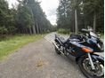 SUZUKI GSX 750 F 2005 - 2
