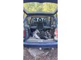 VOLKSWAGEN SHARAN 2001/12 - 3