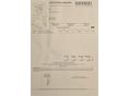 VOLKSWAGEN GOLF PLUS 2010/12 - 22