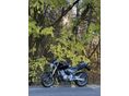 HONDA CB 600 F (HORNET) 2006/3 - 1