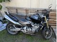 HONDA CB 600 F (HORNET) 2006/3 - 3