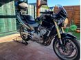 HONDA CB 600 F (HORNET) 2007/10 - 6