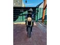 HONDA CB 600 F (HORNET) 2007/10 - 8