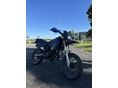 RIEJU RR 50 AM6 2008/4 - 1